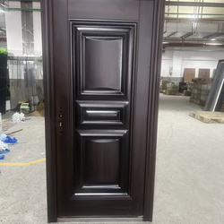 Steel Door