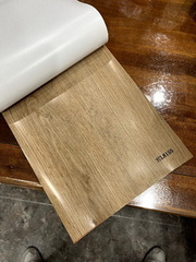 IMG 0351